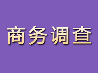 东山商务调查